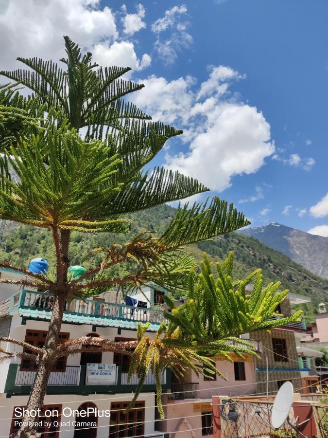 Hari Krishna Guest House Pandukeshwar Exterior foto